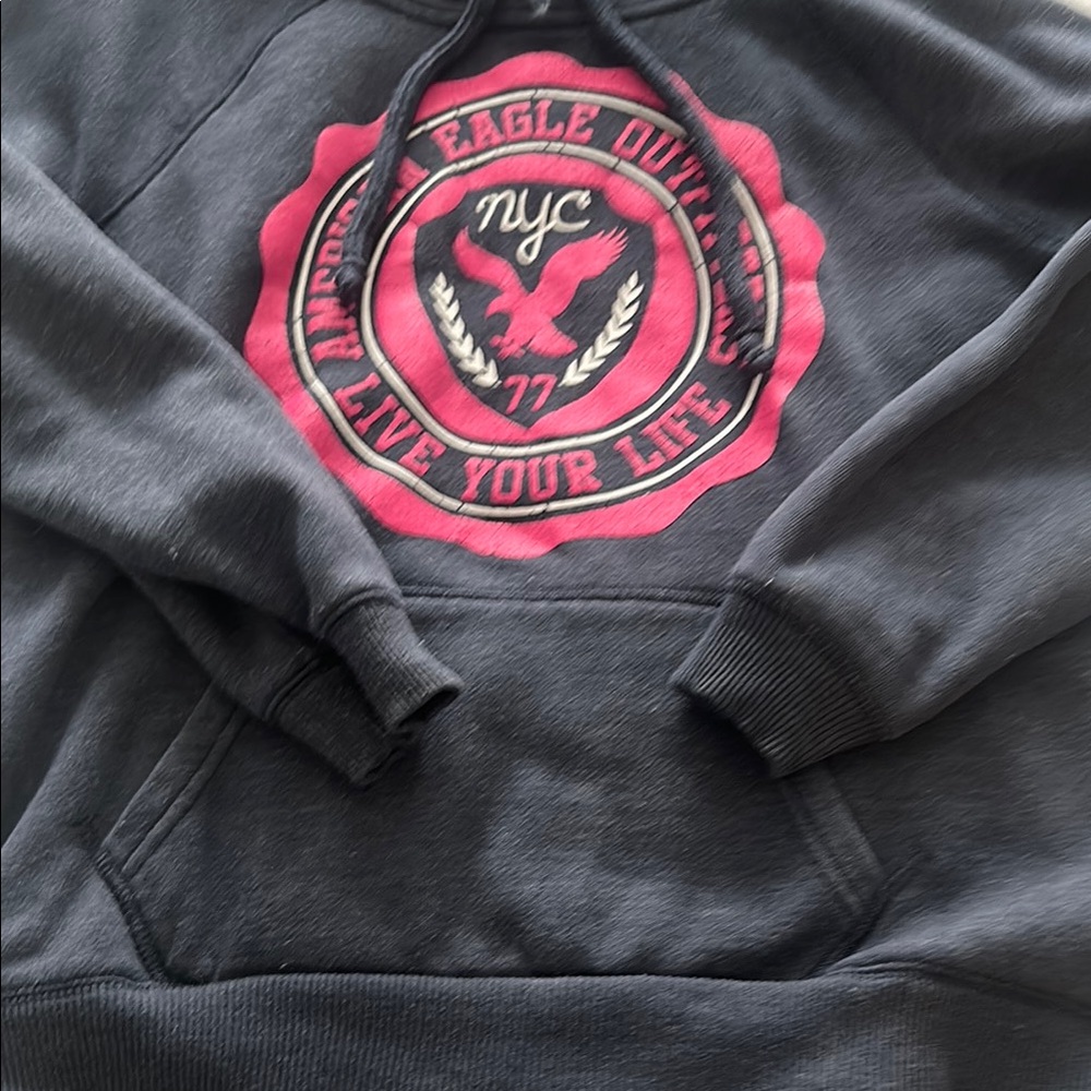 American Eagle Outfitters Gray Hoodie